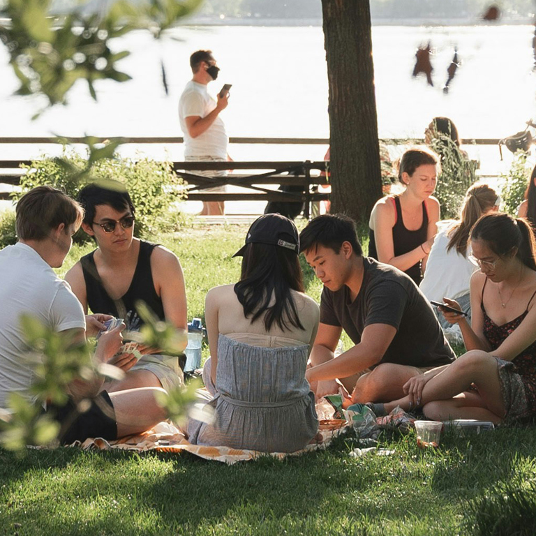 Fringe Picnic